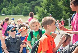 Group of Child at Summer Camp